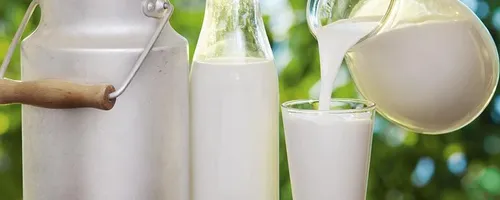 生牛乳和纯牛奶有什么区别