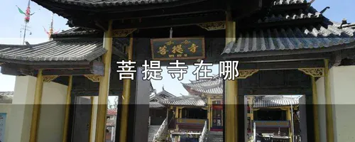 菩提寺在哪