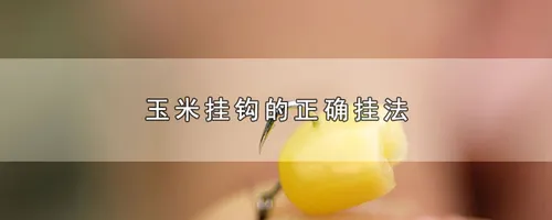 玉米挂钩的正确挂法