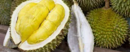 榴莲怎么打开外壳