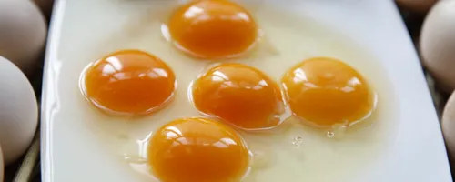 什么人不能使用蛋黄油