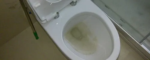 树枝可以冲进厕所吗