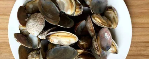 蛤蜊壳属于什么垃圾