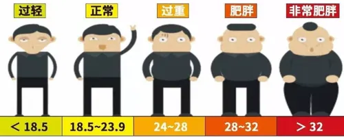 bm1是什么意思