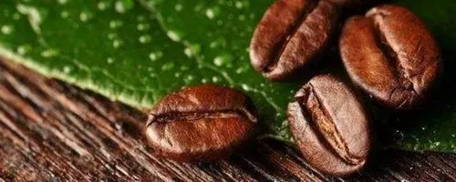 咖啡豆能用料理机磨吗
