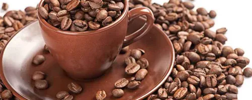 咖啡豆能直接泡吗