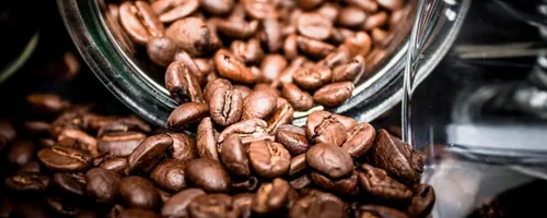 咖啡豆能直接吃吗