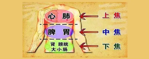 下焦是哪个位置