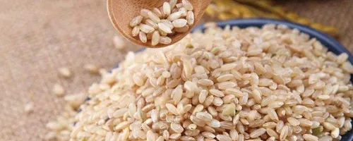 brown rice是什么米