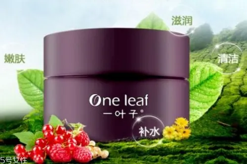 一叶子清洁泥膜怎么样 一叶子清洁面膜怎么用