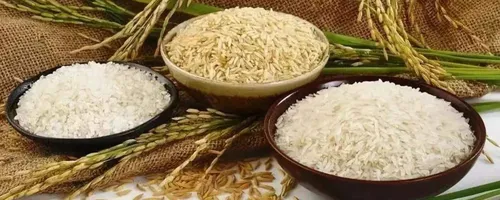 夏季大米的储存方法