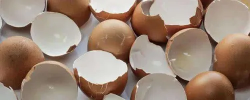 鸡蛋壳是什么垃圾