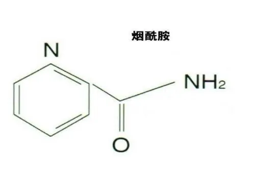 烟酰胺有什么作用呢 烟酰胺白天可以用吗