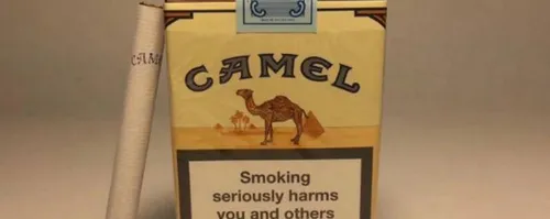 camel是什么牌子香烟