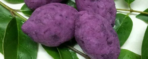 紫红薯发芽了还能吃吗