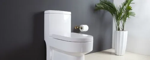 马桶可以扔卫生纸吗