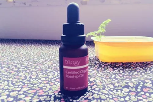 Trilogy玫瑰果油油皮能用吗 Trilogy玫瑰
