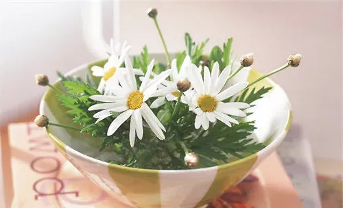 早春季节建议用温水浇花