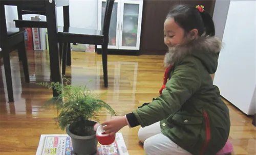 给花卉植物浇水有讲究
