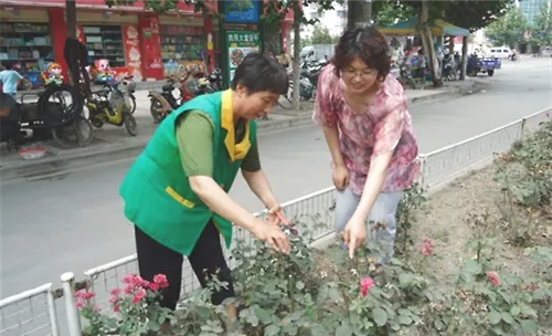 月季花不同时期的修剪方法