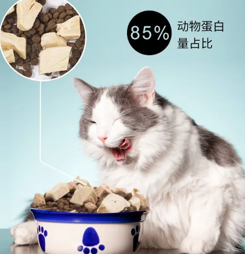 倍内菲金标猫粮有营养吗