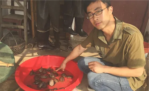 湖北大量乌龟上岸死亡的原因