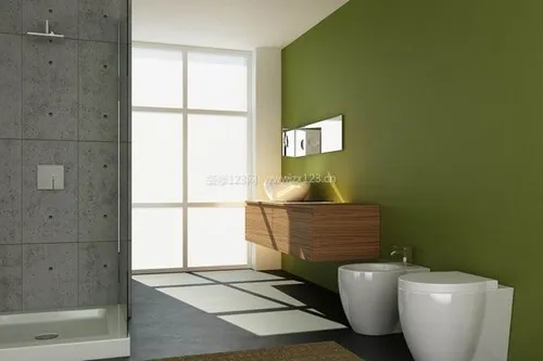 卫浴间装修小方法 美观实用上档次 (卫生
