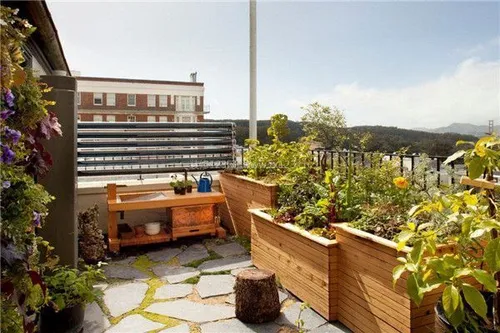 阳台花园改造方法 阳台如何打造温馨小花