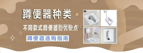 家用蹲便器怎么选？不同户型卫生间选购指南 (整体卫浴)