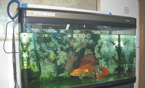 自制鱼缸过滤器的方法