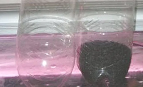 自制丰年虾的孵化器