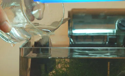 换水对水草光合作用的影响