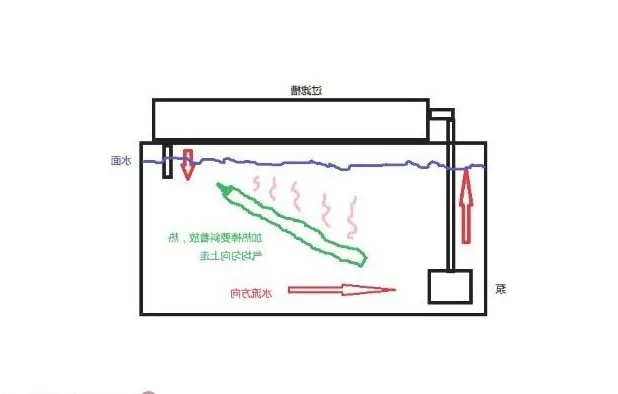 水族箱使用加热棒的注意事项
