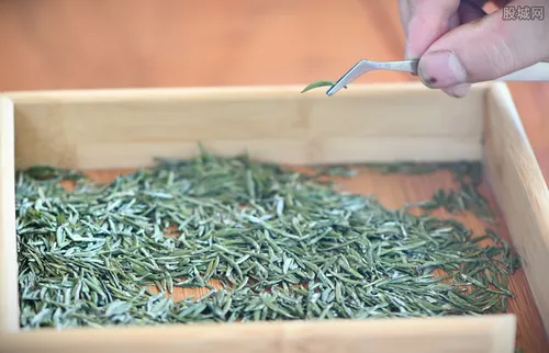 a股茶叶上市第一股是谁？八马茶业成功概率