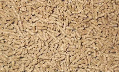 喂宠物兔粮要注意哪些问题