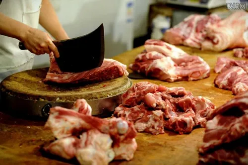 2020下半年猪价行情走势 今天猪肉1斤多少钱？