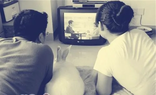 做一个优秀的宠物兔主人应具备的素质