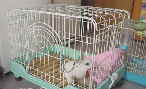 宠物兔兔笼布置建议