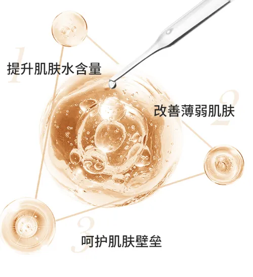 XEQ方程式精华好不好