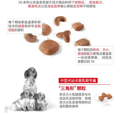幼犬吃哪种品种狗粮