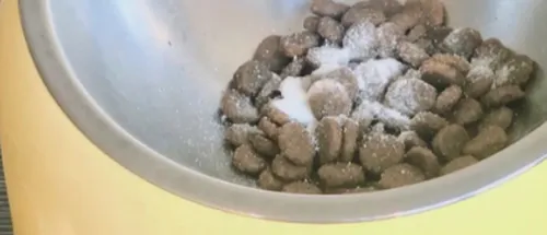KENPRON软骨素好不好