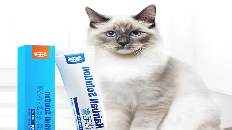 猫咪舔毛有隐患，备上一只WOWO化毛膏吧！
