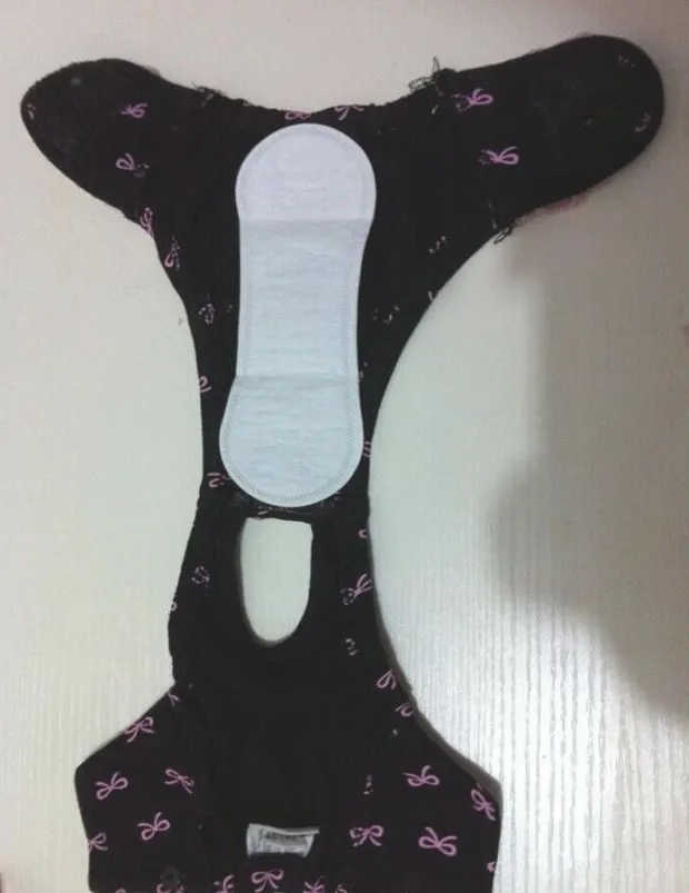 宠物私密之发情期