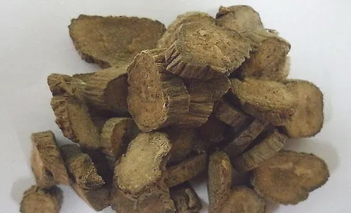 适宜猫咪的活血祛瘀药