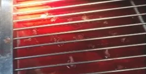 狗狗耳血肿该怎么治疗？