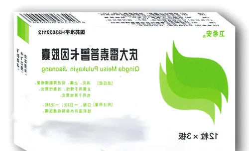 如何准备好狗狗的小药箱