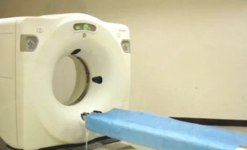 用特殊检查诊断猫咪的呼吸系统疾病