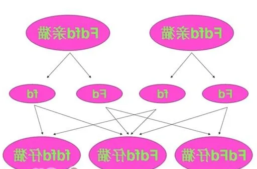 折耳猫尾巴粗短僵硬是遗传病导致的