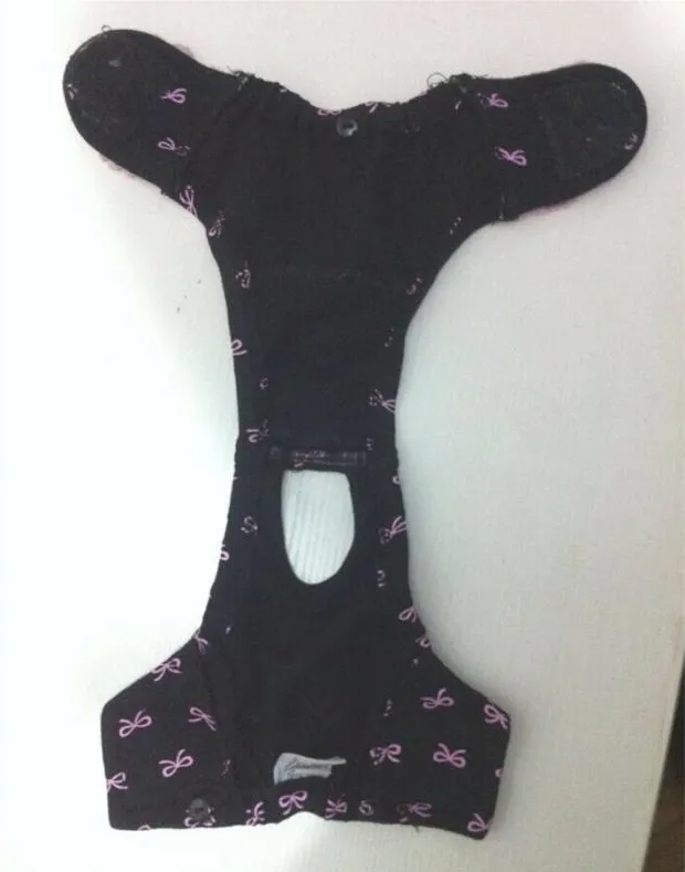 宠物私密之发情期