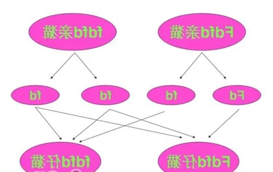折耳猫尾巴粗短僵硬是遗传病导致的